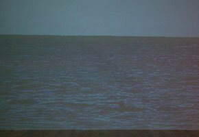 Liminal 1