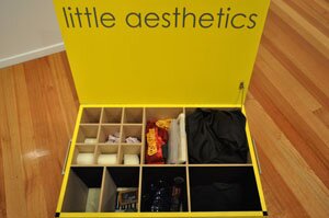 Little Aesthetics Box