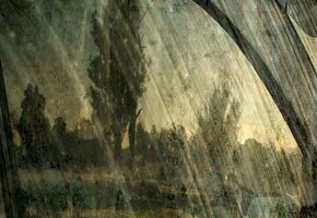 Troy Ruffels (detail)