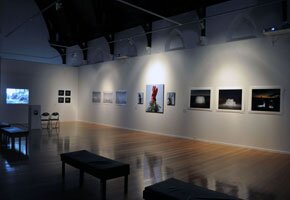 Understory installation view