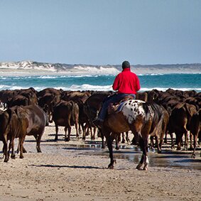 John_Hammond_-_Mooving_with_the_Tides