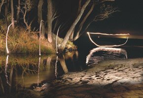 artwork by Marian Drew